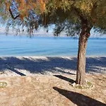 Evala Sutivan